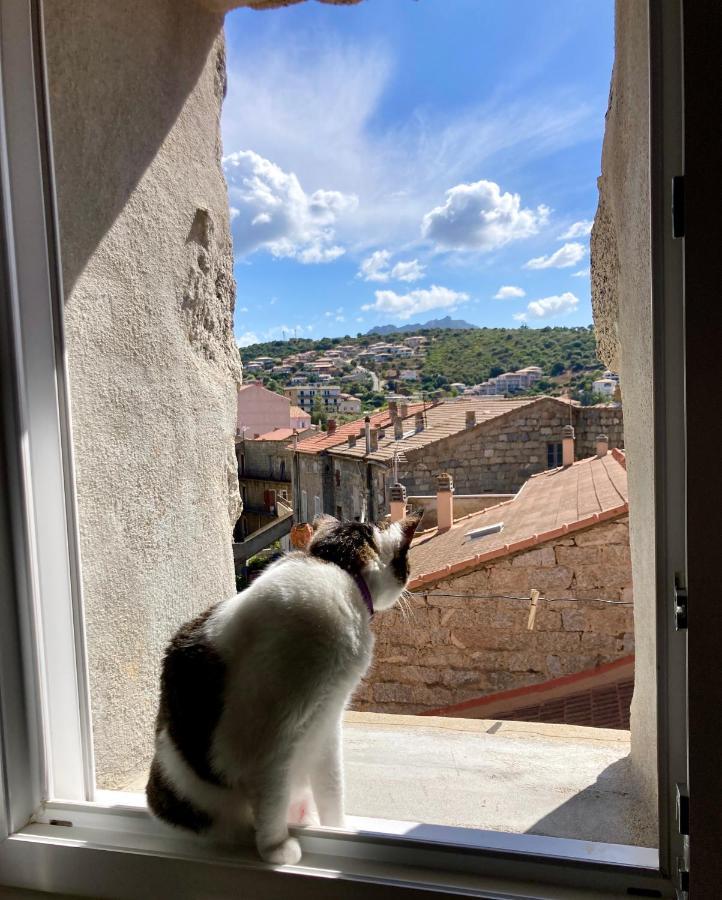 T3 Avec Vue Sur La Mer Notre Chez-Nous Lägenhet Propriano  Exteriör bild